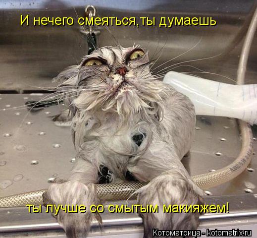 И нечего смеяться,ты думаешь ты лучше со смытым макияжем!... Котоматрица: И нечего смеяться,ты думаешь ты лучше со смытым макияжем!