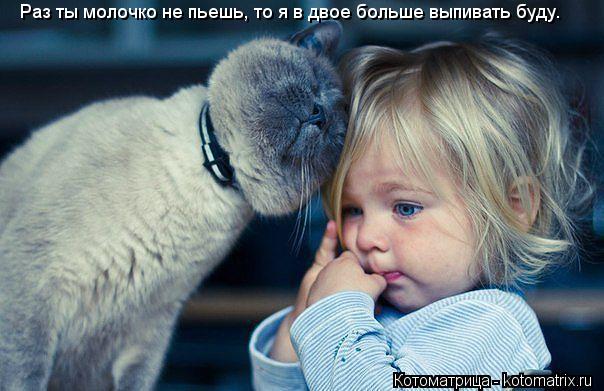 Раз ты молочко не пьешь, то я в двое больше выпивать буду.... Котоматрица: Раз ты молочко не пьешь, то я в двое больше выпивать буду.