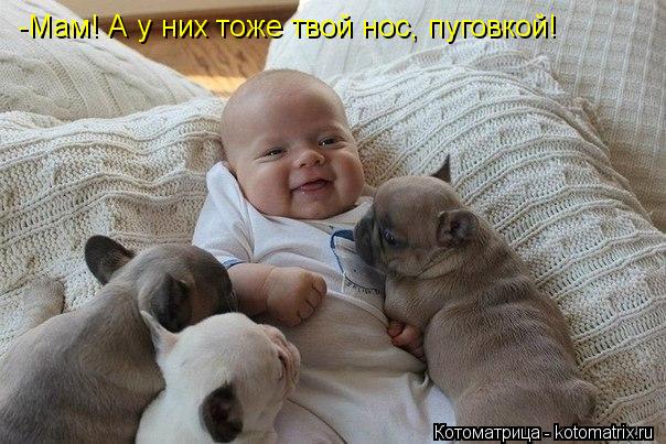 -Мам! А у них тоже твой нос, пуговкой!... Котоматрица: -Мам! А у них тоже твой нос, пуговкой!