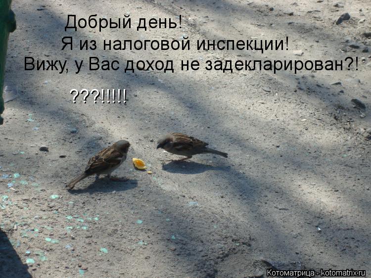 Добрый день! Я из налоговой инспекции! Вижу, у Вас доход не задекларирован?! ???!!!!!... Котоматрица: Добрый день! Я из налоговой инспекции! Вижу, у Вас доход не задекларирован?! ???!!!!!