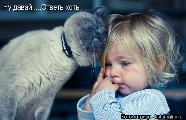 Ну давай.....Ответь хоть... Котоматрица: Ну давай.....Ответь хоть