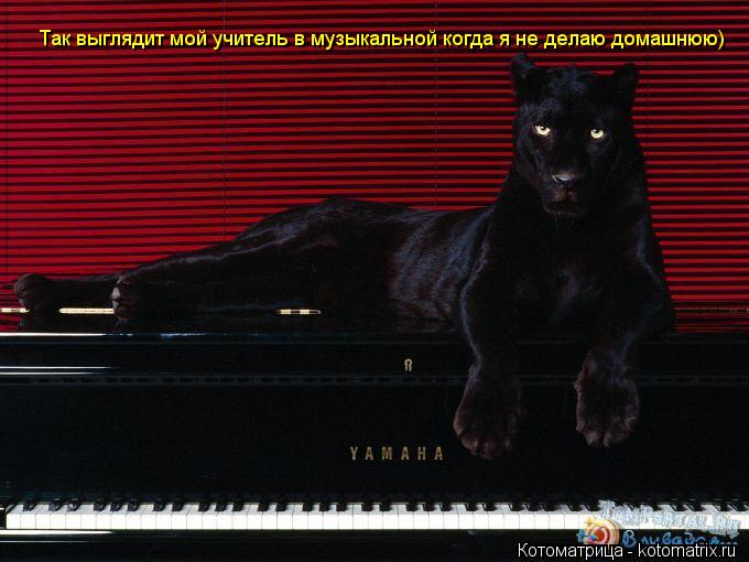 Так выглядит мой учитель в музыкальной когда я не делаю домашнюю)... Котоматрица: Так выглядит мой учитель в музыкальной когда я не делаю домашнюю)