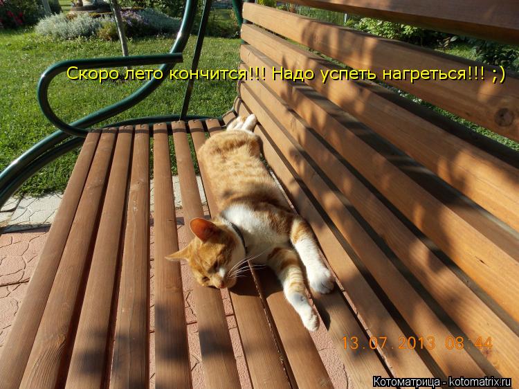 Скоро лето кончится!!! Надо успеть нагреться!!! ;)... Котоматрица: Скоро лето кончится!!! Надо успеть нагреться!!! ;)