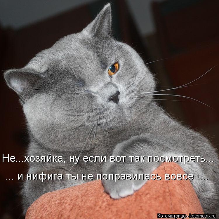 Крым и Одесса