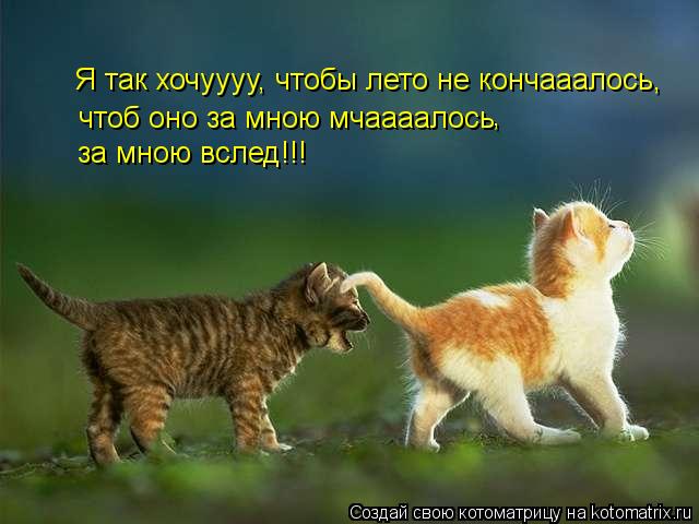 Я так хочуууу, чтобы лето не кончааалось, Я так хочуууу, чтобы лето не кончааалось, чтоб оно за мною ... Котоматрица: Я так хочуууу, чтобы лето не кончааалось, Я так хочуууу, чтобы лето не кончааалось, чтоб оно за мною мчаааалось за мною вслед!!! ,