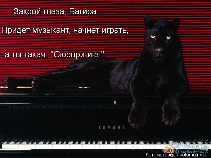 -Закрой глаза, Багира. Придет музыкант, начнет играть, а ты такая: "Сюрпри-и-з!"... Котоматрица: -Закрой глаза, Багира. Придет музыкант, начнет играть, а ты такая: "Сюрпри-и-з!"