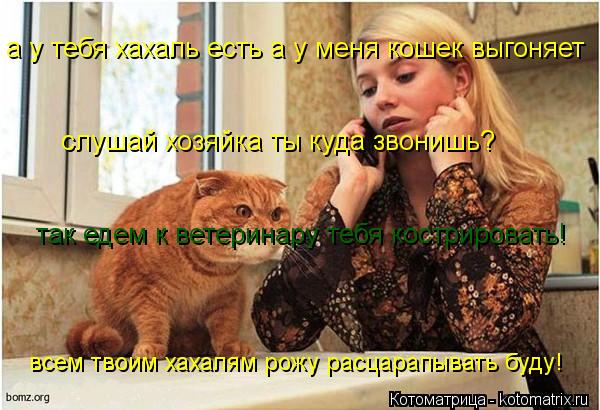 а у тебя хахаль есть а у меня кошек выгоняет слушай хозяйка ты куда звонишь? так едем к ветеринару те... Котоматрица: а у тебя хахаль есть а у меня кошек выгоняет слушай хозяйка ты куда звонишь? так едем к ветеринару тебя кострировать! всем твоим хахалям рож