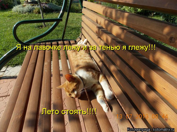 Я на лавочке лежу и за тенью я глежу!!! Лето стоять!!!!... Котоматрица: Я на лавочке лежу и за тенью я глежу!!! Лето стоять!!!!