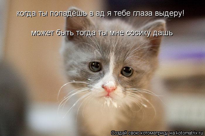 когда ты попадёшь в ад я тебе глаза выдеру! может быть тогда ты мне сосику дашь... Котоматрица: когда ты попадёшь в ад я тебе глаза выдеру! может быть тогда ты мне сосику дашь