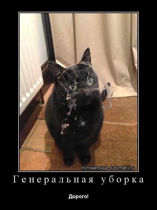 Генеральная уборка Дорого!... Котоматрица: Генеральная уборка Дорого!
