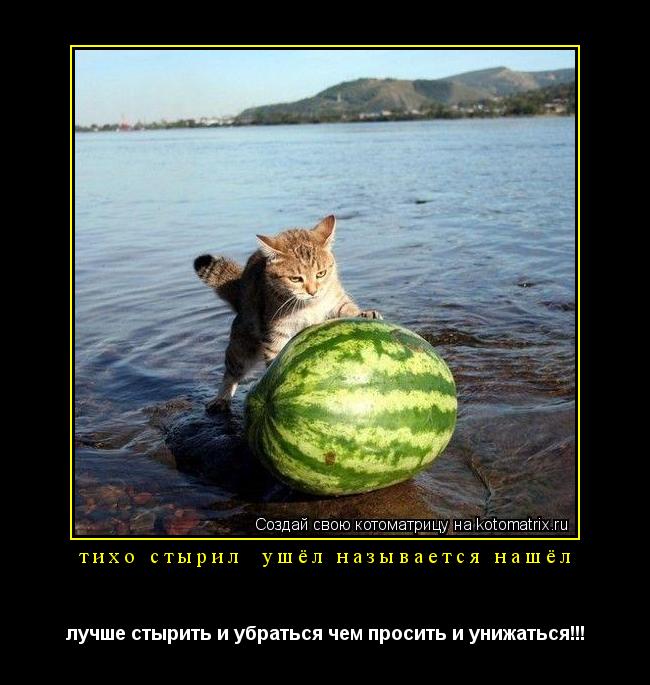 тихо стырил ушёл называется нашёл лучше стырить и убраться чем просить и унижаться!!!... Котоматрица: тихо стырил ушёл называется нашёл лучше стырить и убраться чем просить и унижаться!!!