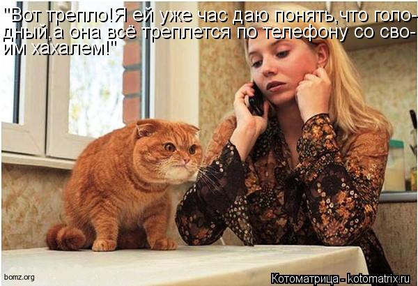 "Вот трепло!Я ей уже час даю понять,что голо- дный,а она всё треплется по телефону со сво- им хахалем... Котоматрица: "Вот трепло!Я ей уже час даю понять,что голо- дный,а она всё треплется по телефону со сво- им хахалем!"