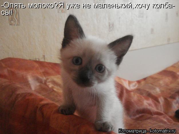 -Опять молоко?Я уже не маленький,хочу колба- сы!... Котоматрица: -Опять молоко?Я уже не маленький,хочу колба- сы!