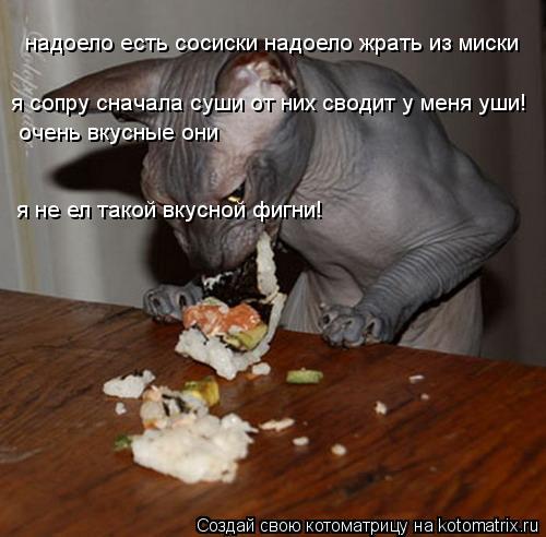 надоело есть сосиски надоело жрать из миски очень вкусные они я сопру сначала суши от них сводит у ме... Котоматрица: надоело есть сосиски надоело жрать из миски очень вкусные они я сопру сначала суши от них сводит у меня уши! я не ел такой вкусной фигни!