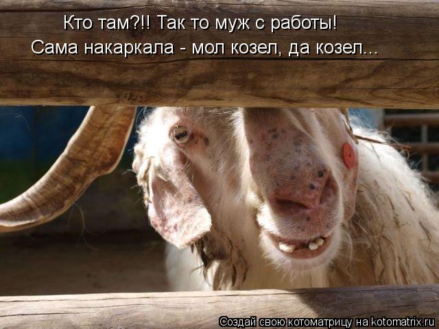Кто там?!! Так то муж с работы! Сама накаркала - мол козел, да козел...... Котоматрица: Кто там?!! Так то муж с работы! Сама накаркала - мол козел, да козел...