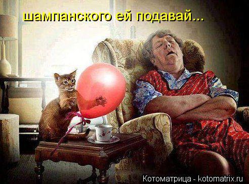 шампанского ей подавай...... Котоматрица: шампанского ей подавай...
