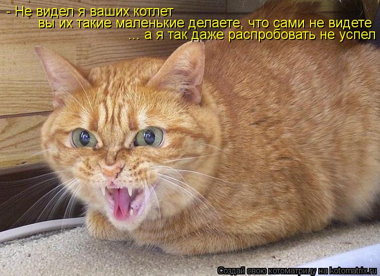 - Не видел я ваших котлет вы их такие маленькие делаете, что сами не видете ... а я так даже распробо... Котоматрица: - Не видел я ваших котлет вы их такие маленькие делаете, что сами не видете ... а я так даже распробовать не успел
