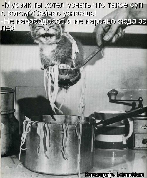 -Мурзик,ты хотел узнать,что такое суп с котом?Сейчас узнаешь! -Не нааааадоооо,я не нарочно сюда за- л... Котоматрица: -Мурзик,ты хотел узнать,что такое суп с котом?Сейчас узнаешь! -Не нааааадоооо,я не нарочно сюда за- лез!
