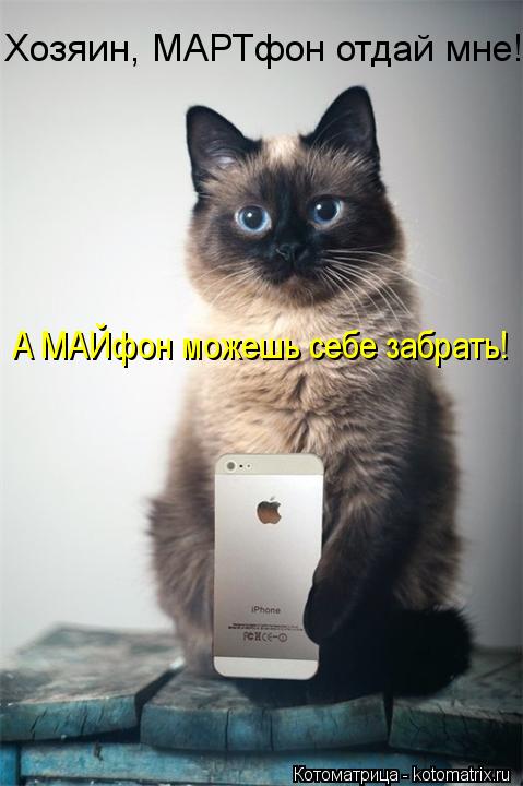 Хозяин, МАРТфон отдай мне! А МАЙфон можешь себе забрать!... Котоматрица: Хозяин, МАРТфон отдай мне! А МАЙфон можешь себе забрать!