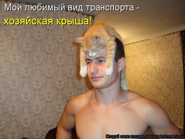 Мой любимый вид транспорта - хозяйская крыша!... Котоматрица: Мой любимый вид транспорта - хозяйская крыша!