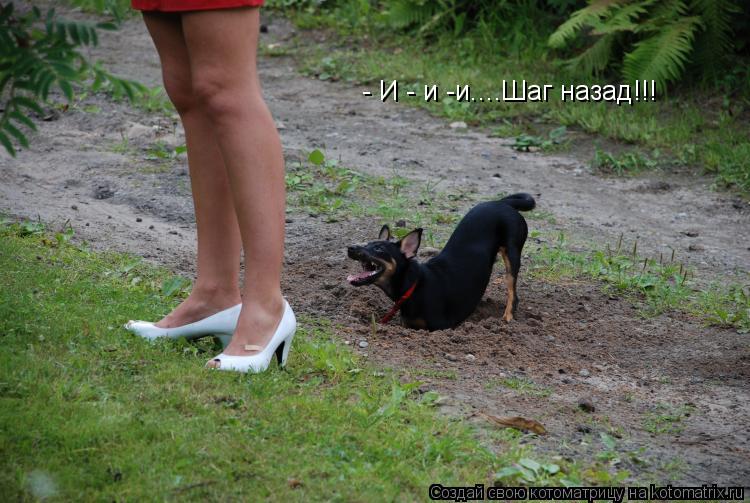 - И - и -и....Шаг назад!!!... Котоматрица: - И - и -и....Шаг назад!!!