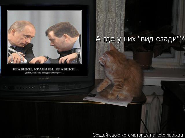 А где у них "вид сзади"?... Котоматрица: А где у них "вид сзади"?