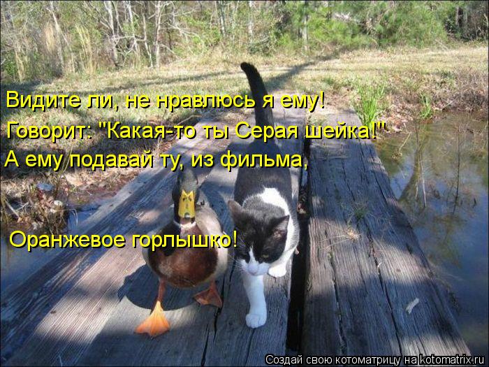 Видите ли, не нравлюсь я ему! Говорит: "Какая-то ты Серая шейка!" А ему подавай ту, из фильма, Оранж... Котоматрица: Видите ли, не нравлюсь я ему! Говорит: "Какая-то ты Серая шейка!" А ему подавай ту, из фильма, Оранжевое горлышко!
