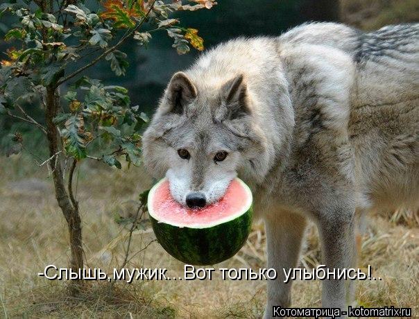 -Слышь,мужик...Вот только улыбнись!..... Котоматрица: -Слышь,мужик...Вот только улыбнись!..