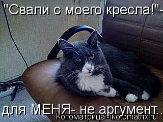 Котоматрица: "Свали с моего кресла!"-  для МЕНЯ- не аргумент..