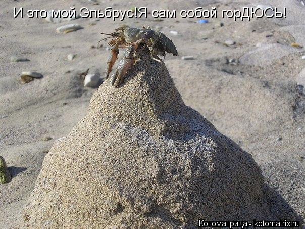 И это мой Эльбрус!Я сам собой горДЮСЬ!... Котоматрица: И это мой Эльбрус!Я сам собой горДЮСЬ!