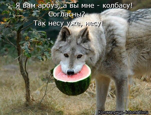 Я вам арбуз, а вы мне - колбасу! Согласны? Так несу уже, несу!... Котоматрица: Я вам арбуз, а вы мне - колбасу! Согласны? Так несу уже, несу!