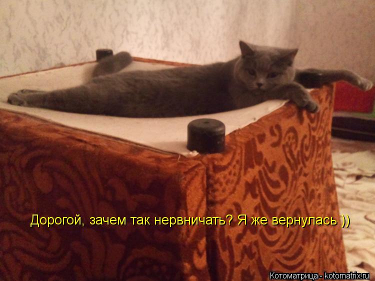 Дорогой, зачем так нервничать? Дорогой, зачем так нервничать? Я же вернулась ))... Котоматрица: Дорогой, зачем так нервничать? Дорогой, зачем так нервничать? Я же вернулась ))