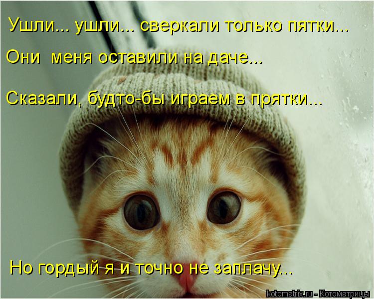 Ушли... ушли... сверкали только пятки... Они меня оставили на даче... Сказали, будто-бы играем в пря... Котоматрица: Ушли... ушли... сверкали только пятки... Они меня оставили на даче... Сказали, будто-бы играем в прятки... Но гордый я и точно не заплачу...
