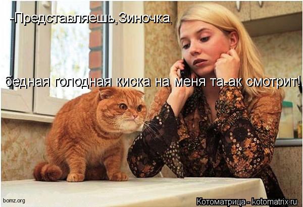 -Представляешь,Зиночка, бедная голодная киска на меня та-ак смотрит!.. бедная голодная киска на меня ... Котоматрица: -Представляешь,Зиночка, бедная голодная киска на меня та-ак смотрит!.. бедная голодная киска на меня та-ак смотрит!.. -Представляешь,Зиночка