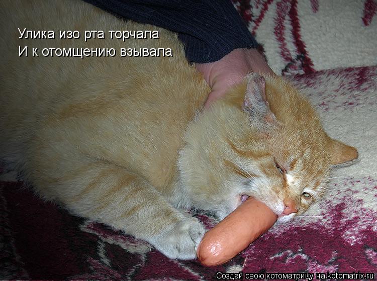 Улика изо рта торчала И к отомщению взывала... Котоматрица: Улика изо рта торчала И к отомщению взывала