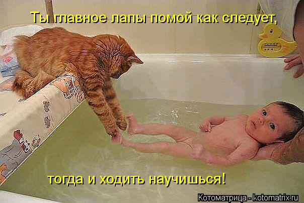 Ты главное лапы помой как следует, тогда и ходить научишься!... Котоматрица: Ты главное лапы помой как следует, тогда и ходить научишься!