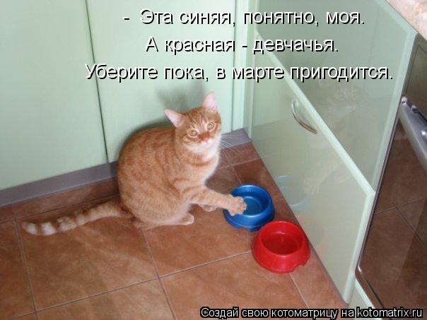 - Эта синяя, понятно, моя. А красная - девчачья. Уберите пока, в марте пригодится.... Котоматрица: - Эта синяя, понятно, моя. А красная - девчачья. Уберите пока, в марте пригодится.