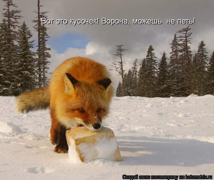 Вот это кусочек! Ворона, можешь не петь!... Котоматрица: Вот это кусочек! Ворона, можешь не петь!