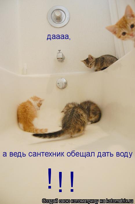 даааа, а ведь сантехник обещал дать воду ! ! !... Котоматрица: даааа, а ведь сантехник обещал дать воду ! ! !
