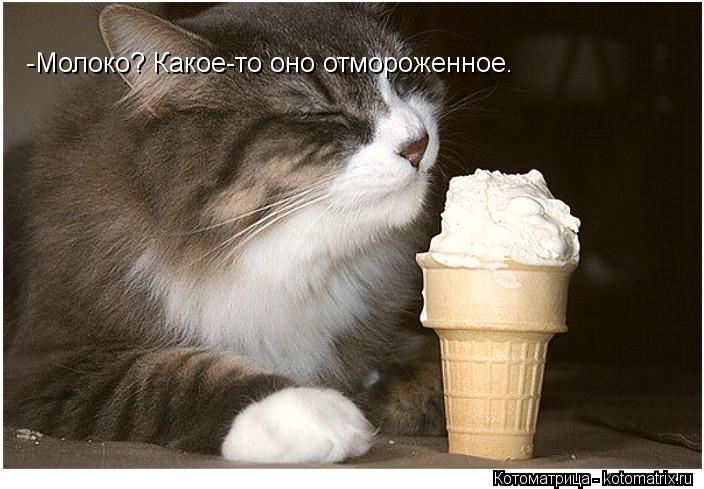 -Молоко? Какое-то оно отмороженное.... Котоматрица: -Молоко? Какое-то оно отмороженное.
