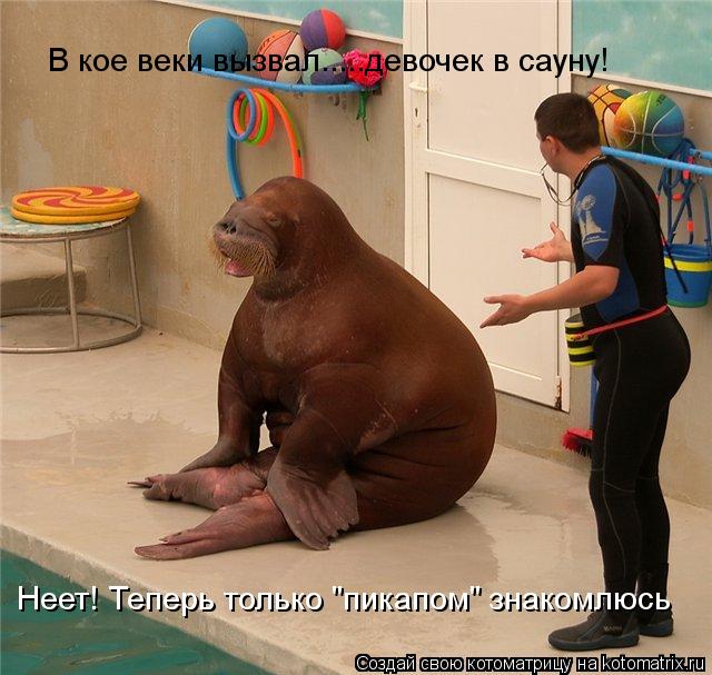В кое веки вызвал.....девочек в сауну! Неет! Теперь только "пикапом" знакомлюсь... Котоматрица: В кое веки вызвал.....девочек в сауну! Неет! Теперь только "пикапом" знакомлюсь