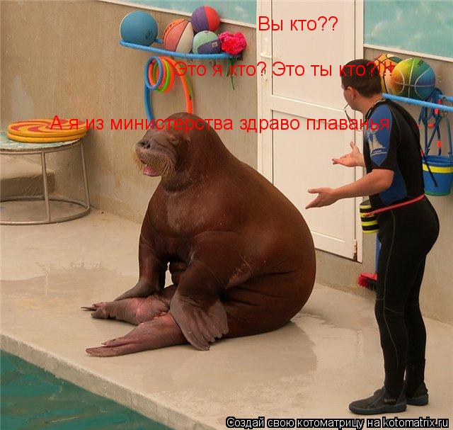Вы кто?? Это я кто? Это ты кто?!!! А я из министерства здраво плаванья... Котоматрица: Вы кто?? Это я кто? Это ты кто?!!! А я из министерства здраво плаванья
