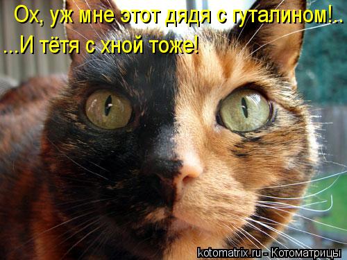 Котоматрица: Ох, уж мне этот дядя с гуталином!.. ...И тётя с хной тоже!
