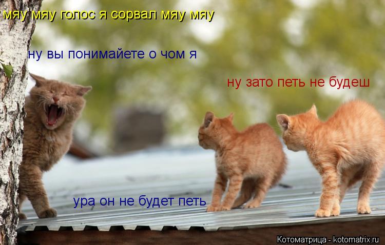 мяу мяу голос я сорвал мяу мяу ну зато петь не будеш ура он не будет петь ну вы понимайете о чом я... Котоматрица: мяу мяу голос я сорвал мяу мяу ну зато петь не будеш ура он не будет петь ну вы понимайете о чом я