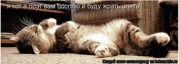 Котоматрица: я кот а поэт вам посплю и буду жрать опять