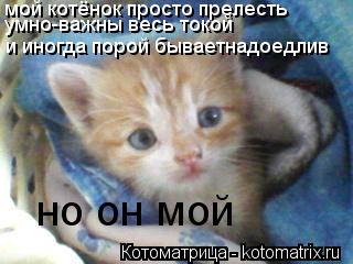мой котёнок просто прелесть умно-важны весь токой и иногда порой бываетнадоедлив но он мой... Котоматрица: мой котёнок просто прелесть умно-важны весь токой и иногда порой бываетнадоедлив но он мой