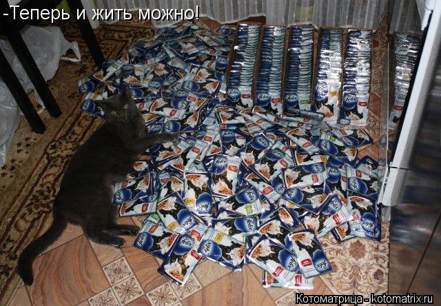 Котоматрица: -Теперь и жить можно!