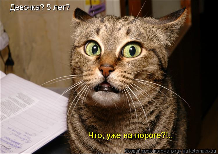 Девочка? 5 лет? Что, уже на пороге?!..... Котоматрица: Девочка? 5 лет? Что, уже на пороге?!..