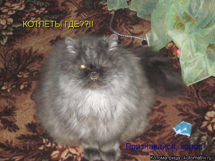 КОТЛЕТЫ ГДЕ??!! Признавайся, холоп!... Котоматрица: КОТЛЕТЫ ГДЕ??!! Признавайся, холоп!