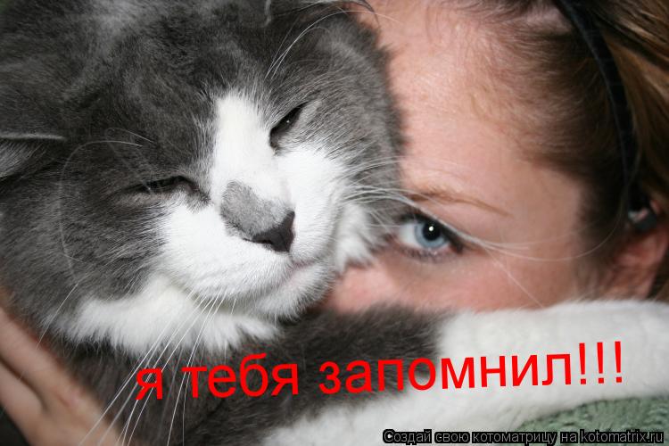 я тебя запомнил!!!... Котоматрица: я тебя запомнил!!!